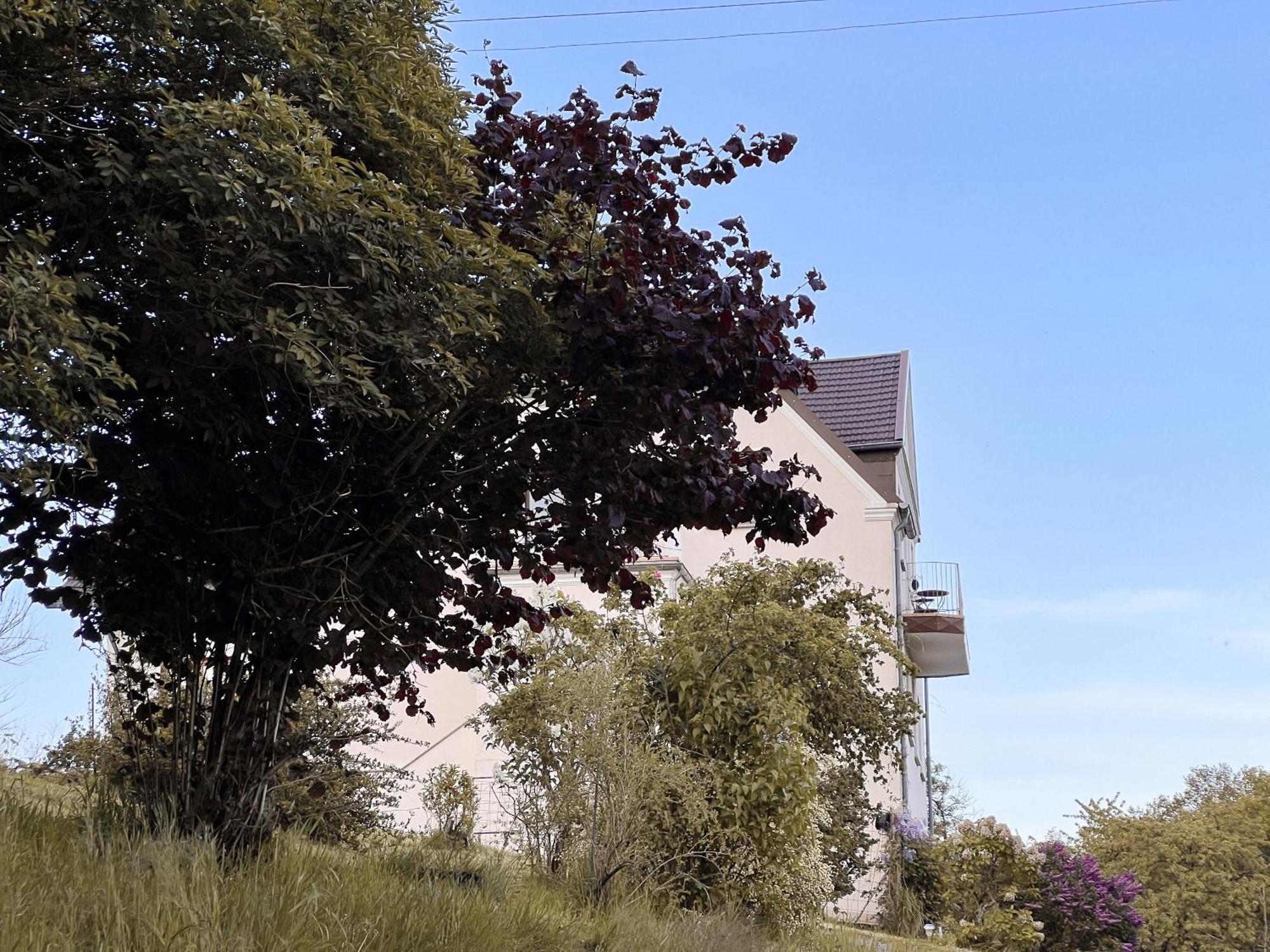 Villa Ueberblick Nalbach Eksteriør bilde