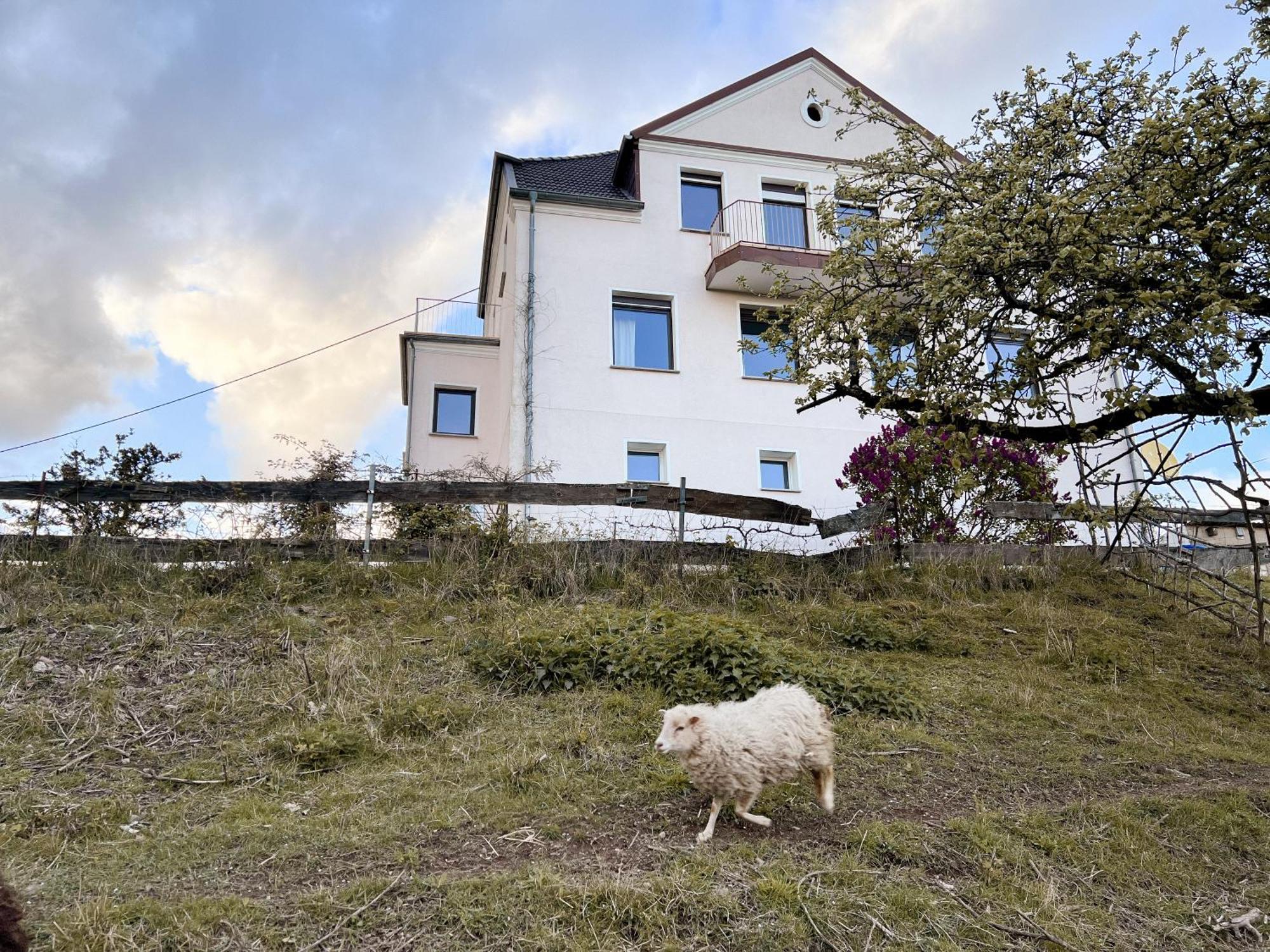 Villa Ueberblick Nalbach Eksteriør bilde