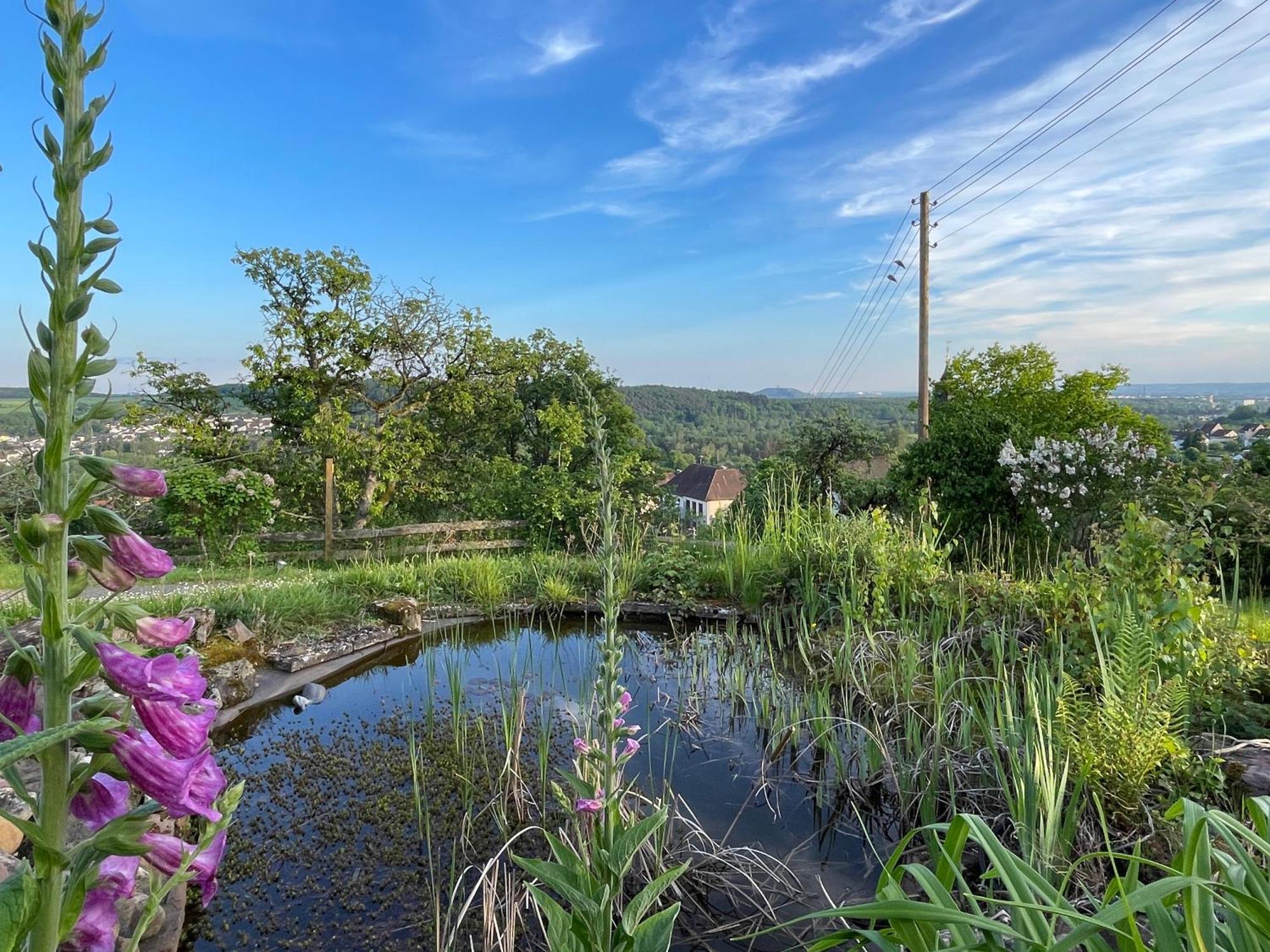 Villa Ueberblick Nalbach Eksteriør bilde